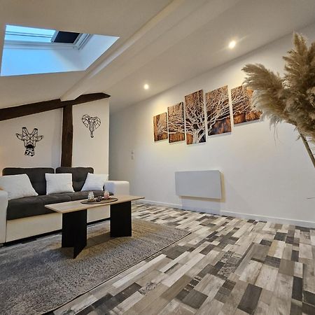 Joli Appartement Mansarde Десиз Экстерьер фото