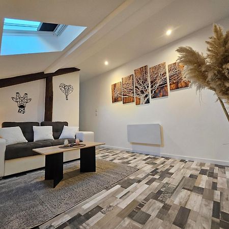 Joli Appartement Mansarde Десиз Экстерьер фото